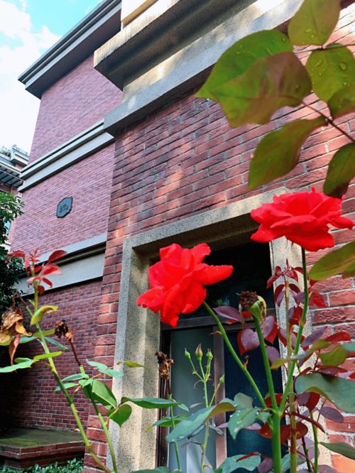 金河湾1881 藏不住了 不是每个小区都有这样的雨后景色